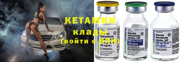 прущие грибы Абаза