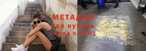 прущие грибы Абаза