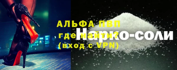 прущие грибы Абаза