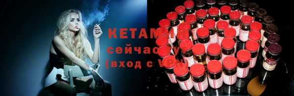 прущие грибы Абаза