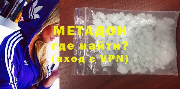 прущие грибы Абаза