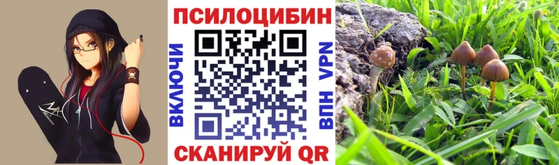 kraken онион  Ангарск  Псилоцибиновые грибы GOLDEN TEACHER 