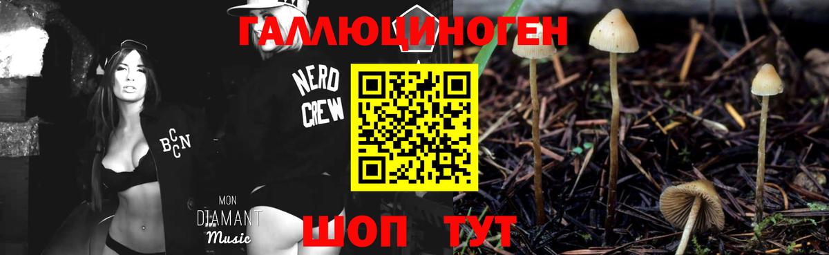 Ангарск  Галлюциногенные грибы GOLDEN TEACHER  Вход с VPN 